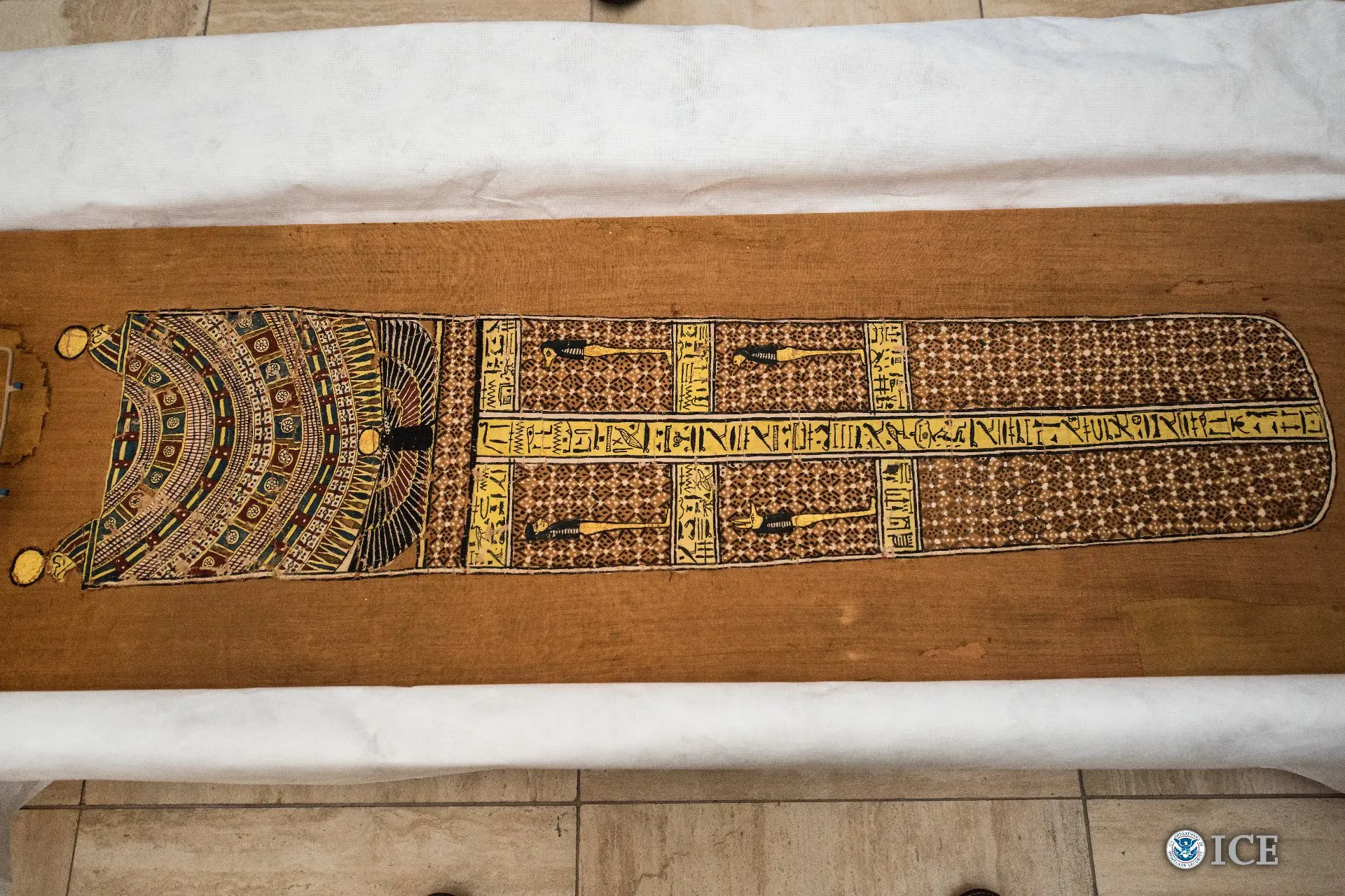 Reports & Publications